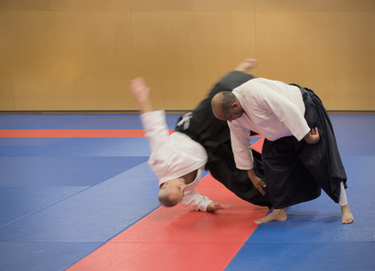 Session photo Aïkido